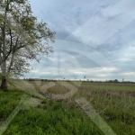 Парцел в Пловдив, Тракия - 4000 кв.м за 17 €/кв.м - Снимка #1