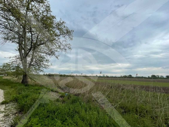 Парцел в Пловдив, Тракия - 4000 кв.м за 17 €/кв.м - Снимка #1