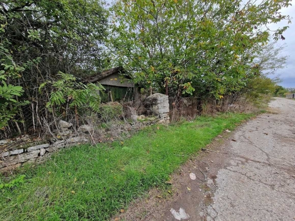 Парцел в с. Хаджи Димитър, Област Добрич - 2620 кв.м за 6 €/кв.м - Снимка #1