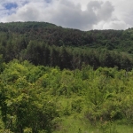 Земеделски имот в Куклен -  кв.м за 9 €/дка - Снимка #1