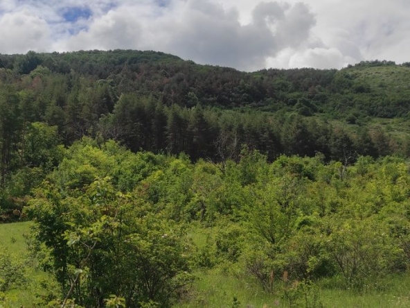 Земеделски имот в Куклен -  кв.м за 9 €/дка - Снимка #1