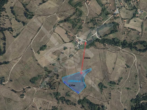 Парцел в с. Сакарци, Област Хасково - 13955 кв.м за 6 €/кв.м - Снимка #1