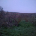 Парцел в с. Цани Гинчево, Област Шумен - 1100 кв.м за 4 €/кв.м - Снимка #1