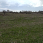 Парцел в с. Тенево, Област Ямбол - 1365 кв.м за 4 €/кв.м - Снимка #1