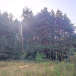 Парцел в с. Злокучене, Област София-област - 15000 кв.м за 9 €/кв.м - Снимка #1