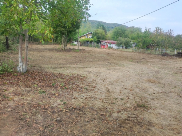 Парцел в Севлиево - 1000 кв.м за 18 €/кв.м - Снимка #1