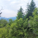 Парцел в с. Храбрино, Област Пловдив - 511 кв.м за 19 €/кв.м - Снимка #1