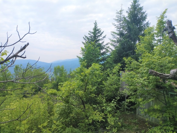 Парцел в с. Храбрино, Област Пловдив - 511 кв.м за 19 €/кв.м - Снимка #1