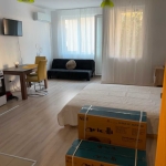 Дава се под наем Едностаен апартамент в София, Люлин 10 - 42 кв.м за 382.5 € - Снимка #1