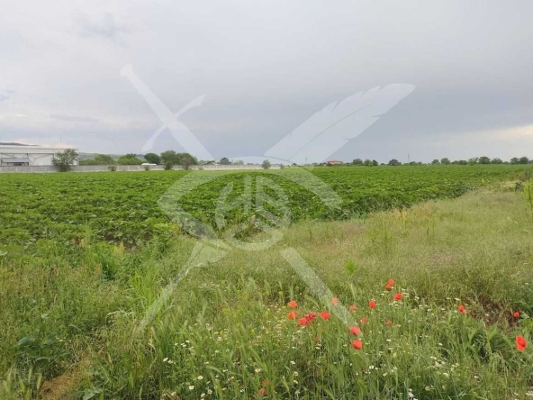 Земеделски имот в с. Марково, Област Пловдив -  кв.м за 56286 €/дка - Снимка #1