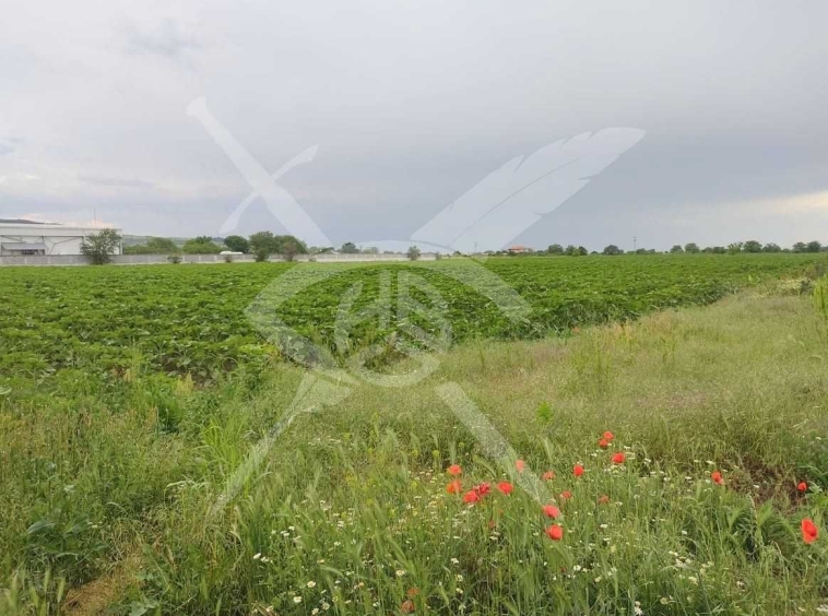Земеделски имот в с. Марково, Област Пловдив -  кв.м за 56286 €/дка - Снимка #1