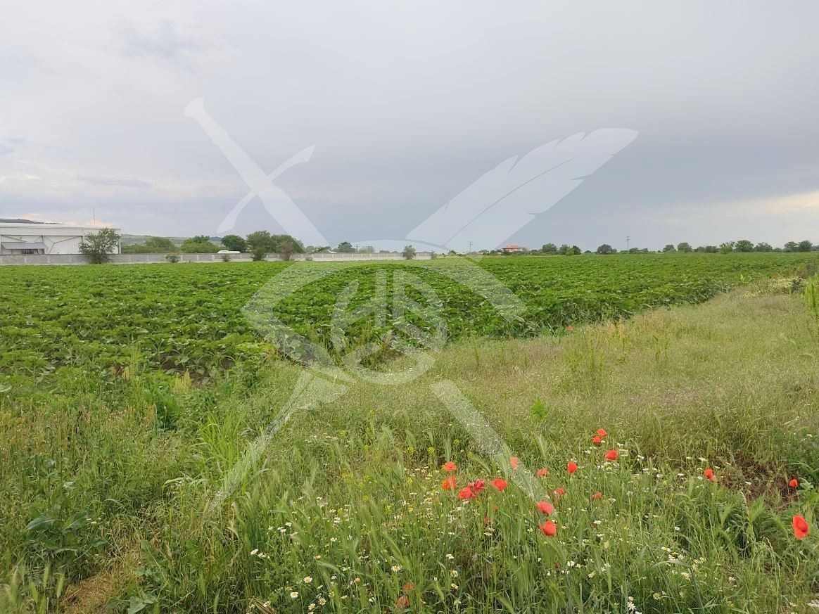 Земеделски имот в с. Марково, Област Пловдив -  кв.м за 28706 €/дка - Снимка #1