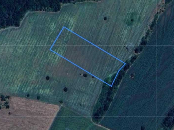 Земеделски имот в с. Войника, Област Ямбол -  кв.м за 1 €/дка - Снимка #1