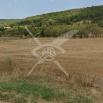 Земеделски имот в с. Преображенци, Област Бургас -  кв.м за 1000 €/дка - Снимка #1