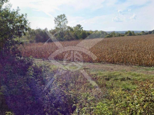 Парцел в Приморско - 9720 кв.м за 4 €/кв.м - Снимка #1