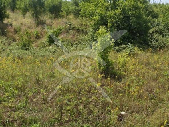 Парцел в с. Бяла вода, Област Бургас - 5000 кв.м за 10 €/кв.м - Снимка #1