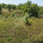 Парцел в с. Бяла вода, Област Бургас - 5000 кв.м за 18 €/кв.м - Снимка #1