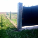 Парцел в с. Патриарх Евтимово, Област Пловдив - 1305 кв.м за 23 €/кв.м - Снимка #1