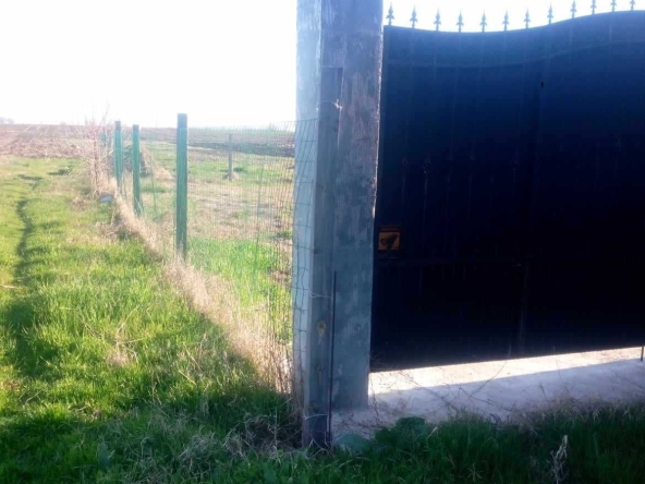 Парцел в с. Патриарх Евтимово, Област Пловдив - 1305 кв.м за 23 €/кв.м - Снимка #1