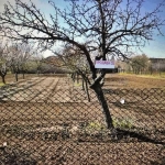 Парцел в Лом - 1450 кв.м за 3 €/кв.м - Снимка #1