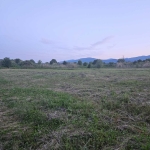 Земеделски имот в с. Жабокрът, Област Кюстендил -  кв.м за 1692 €/дка - Снимка #1