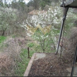 Парцел в Варна, Аспарухово - 517 кв.м за 252 €/кв.м - Снимка #1