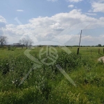 Парцел в Пловдив, Кършияка - 10189 кв.м за 50 €/кв.м - Снимка #1