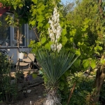 Къща в Севлиево - 70 кв.м за 438 €/кв.м - Снимка #1