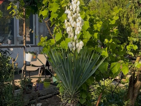 Къща в Севлиево - 70 кв.м за 438 €/кв.м - Снимка #1