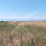 Парцел в с. Войводиново, Област Пловдив - 645 кв.м за 81 €/кв.м - Снимка #1