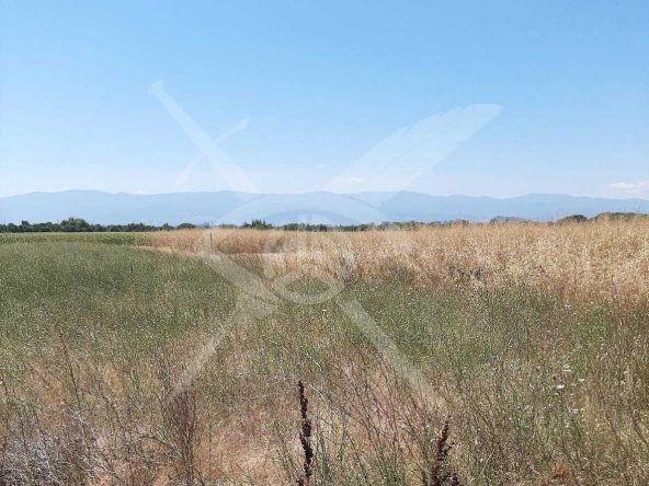 Парцел в с. Войводиново, Област Пловдив - 645 кв.м за 81 €/кв.м - Снимка #1