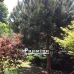 Едностаен апартамент в к.к. Слънчев бряг - 30 кв.м за 1417 €/кв.м - Снимка #1