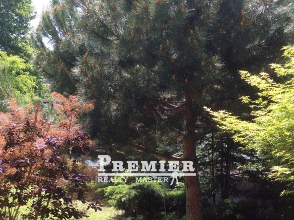 Едностаен апартамент в к.к. Слънчев бряг - 30 кв.м за 1417 €/кв.м - Снимка #1