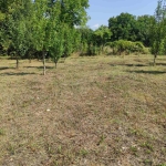 Парцел в с. Стража, Област Търговище - 1000 кв.м за 44 €/кв.м - Снимка #1