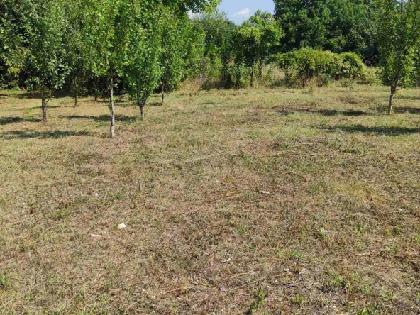 Парцел в с. Стража, Област Търговище - 1000 кв.м за 44 €/кв.м - Снимка #1