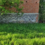 Къща в с. Болярско, Област Ямбол - 185 кв.м за 88 €/кв.м - Снимка #1