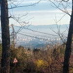 Парцел в с. Бистрица, Област София-град - 1240 кв.м за 238 €/кв.м - Снимка #1