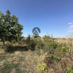 Парцел в с. Златитрап, Област Пловдив - 4000 кв.м за 23 €/кв.м - Снимка #1