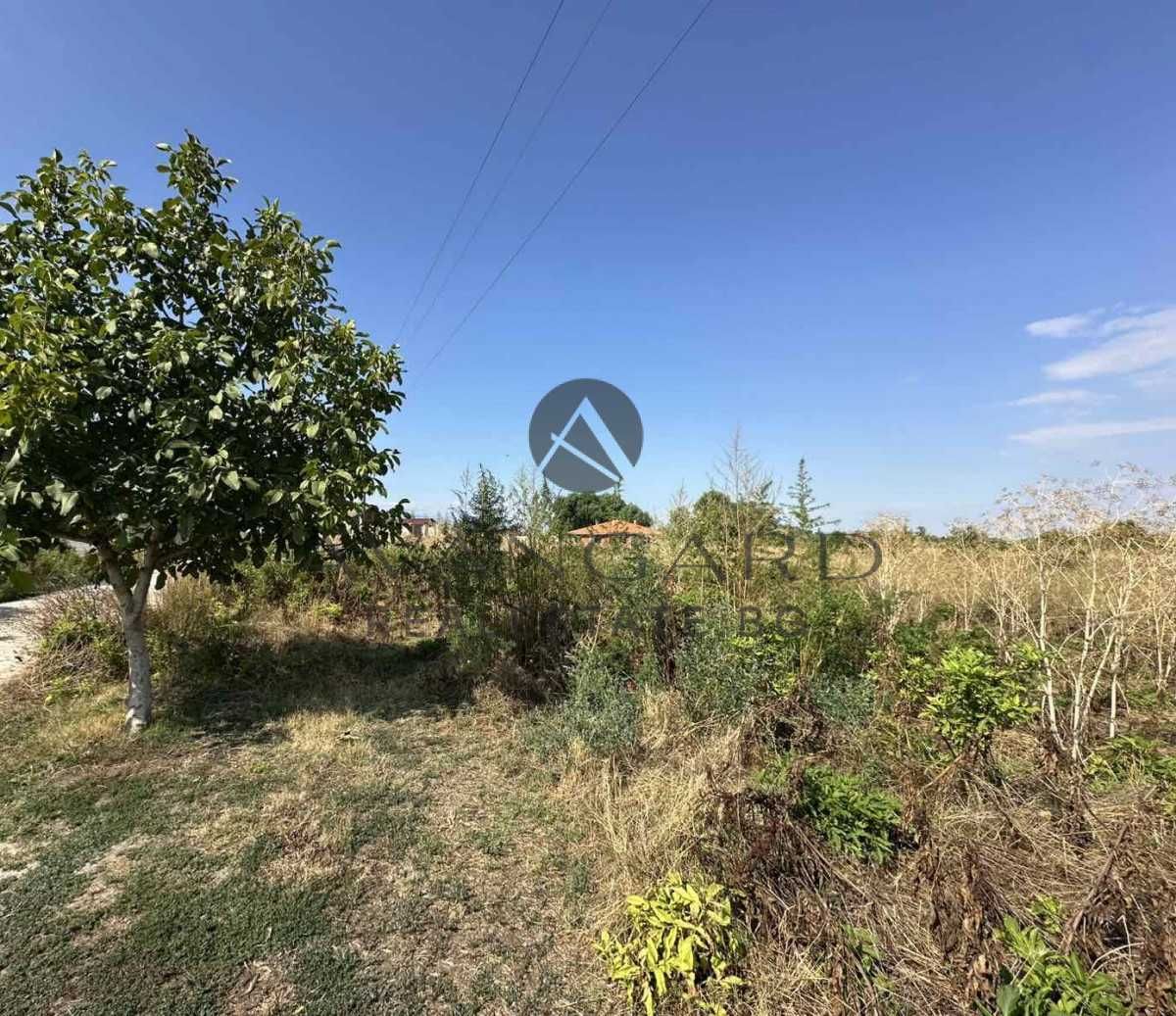 Парцел в с. Златитрап, Област Пловдив - 4000 кв.м за 23 €/кв.м - Снимка #1