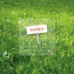 Парцел в Варна, Владислав Варненчик - 982 кв.м за 52 €/кв.м - Снимка #1