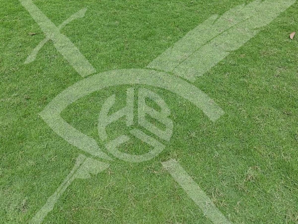 Парцел в с. Браниполе, Област Пловдив - 2872 кв.м за 26 €/кв.м - Снимка #1