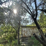 Парцел в с. Желява, Област София-град - 521 кв.м за 58 €/кв.м - Снимка #1