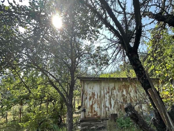 Парцел в с. Желява, Област София-град - 521 кв.м за 58 €/кв.м - Снимка #1