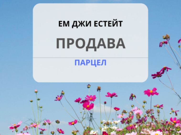 Земеделски имот в с. Извор, Област София-област -  кв.м за 11250 €/дка - Снимка #1