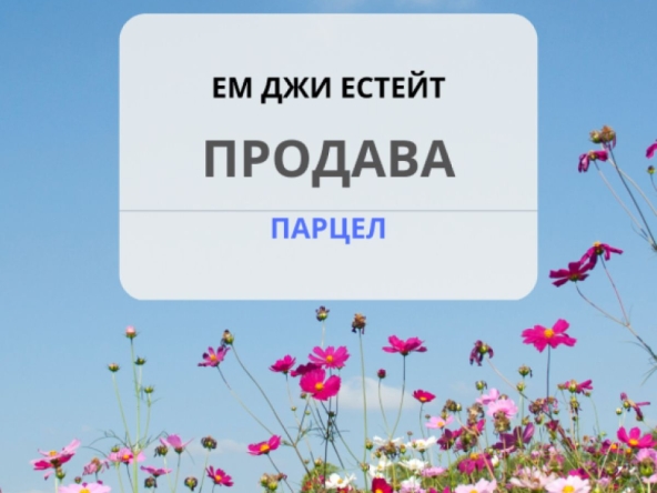 Парцел в с. Извор, Област София-област - 1500 кв.м за 10 €/кв.м - Снимка #1