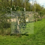 Парцел в Варна, м-т Боровец - север - 500 кв.м за 158 €/кв.м - Снимка #1