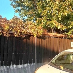 Къща в Плевен, Идеален център - 120 кв.м за 709 €/кв.м - Снимка #1