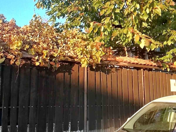 Къща в Плевен, Идеален център - 120 кв.м за 709 €/кв.м - Снимка #1