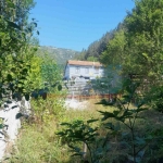 Къща в Трън - 75 кв.м за 350 €/кв.м - Снимка #1