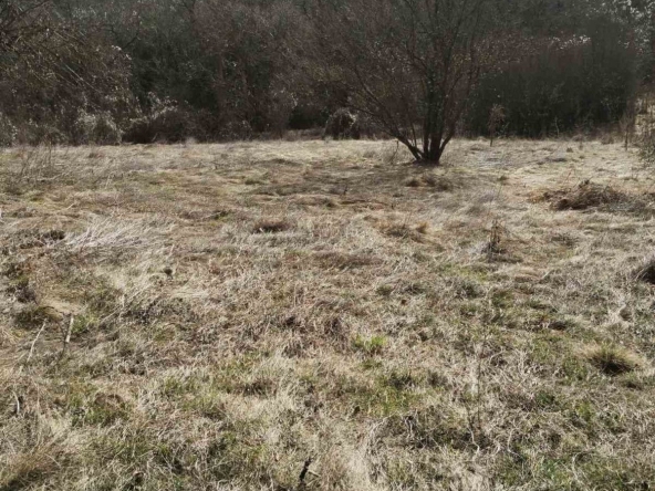 Парцел в с. Косача, Област Перник - 8800 кв.м за 2 €/кв.м - Снимка #1